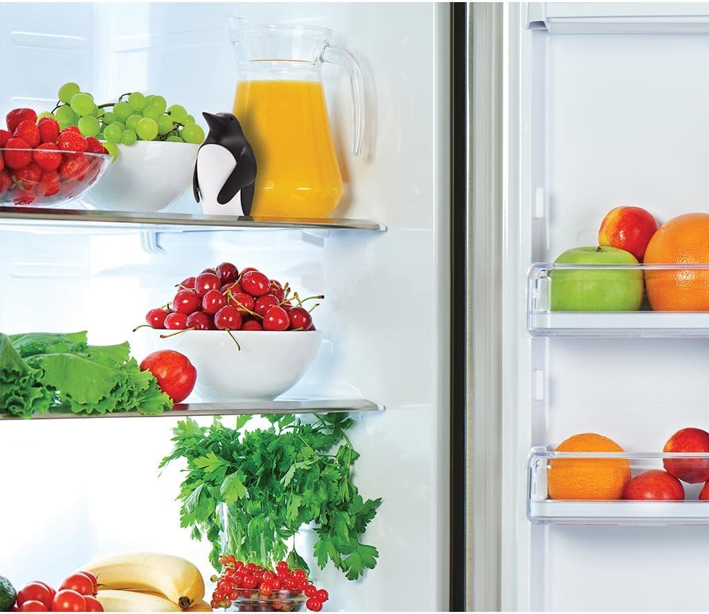 Koelkast-geurverdrijver met ba - Kitchen Baking Soda recensie en prijs